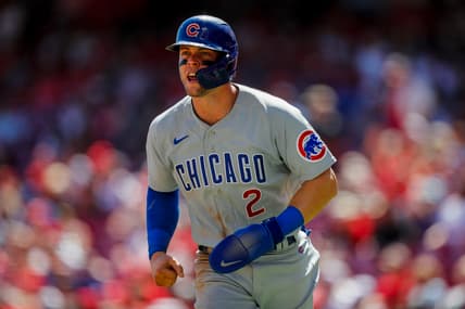 Cody Bellinger free agency