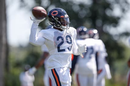 Tarik Cohen