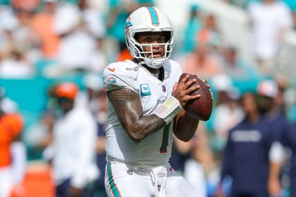 miami dolphins