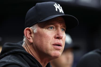 new york yankees