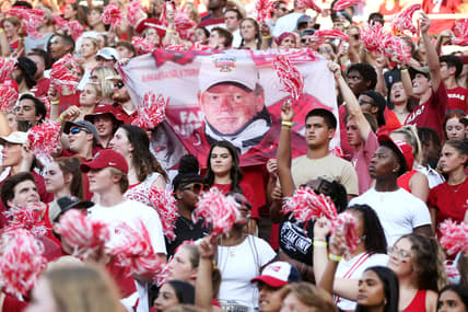 Bobby Petrino, Arkansas