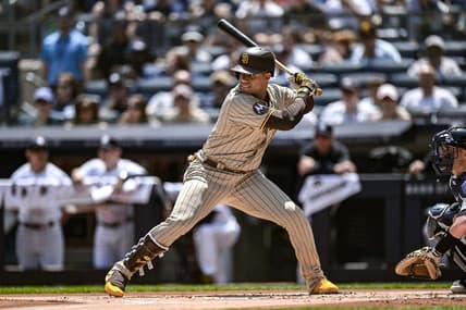 San Diego Padres left fielder Juan Soto (22) at bat against the New York Yankees at Yankee Stadium. Mandatory Credit: John Jones-USA TODAY Sports