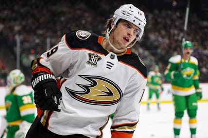 Jan 27, 2024; Saint Paul, Minnesota, USA; Anaheim Ducks right wing Troy Terry (19) celebrates his goal against the Minnesota Wild during the first period at Xcel Energy Center. Mandatory Credit: Matt Krohn-USA TODAY Sports