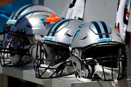 Carolina Panthers' Mike Vrabel