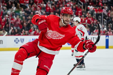 Feb 27, 2024; Detroit, Michigan, USA; Detroit Red Wings defenseman Shayne Gostisbehere (41) celebrates his goal during the second period against the Washington Capitals at Little Caesars Arena. Mandatory Credit: Tim Fuller-USA TODAY Sports