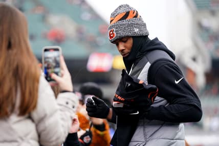 Cincinnati Bengals wide receiver Tee Higgins