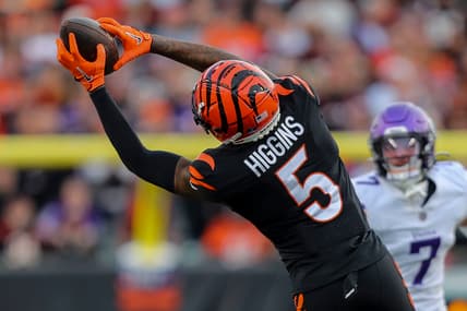 Tee Higgins, Cincinnati Bengals