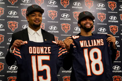 chicago bears