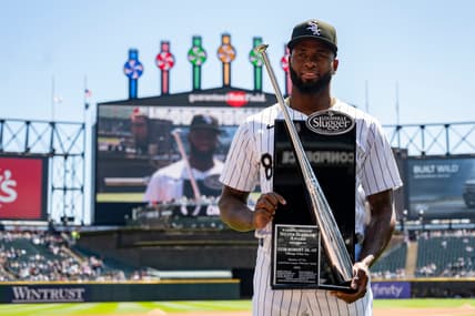 Luis Robert