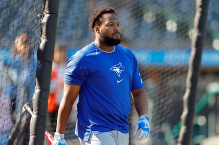 vladimir guerrero