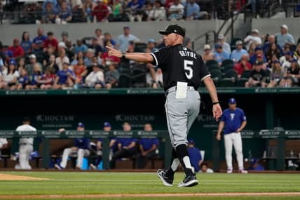 Chicago White Sox, Pedro Grifol