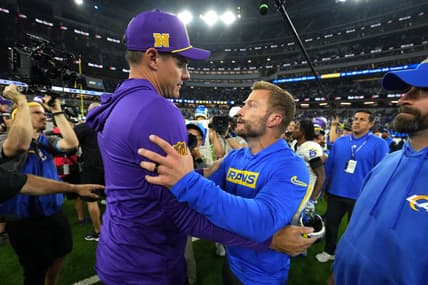 Minnesota Vikings