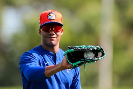 Juan Soto, New York Mets