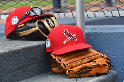 MLB rumors, St. Louis Cardinals, Erick Fedde
