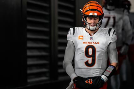 Cincinnati Bengals, Joe Burrow
