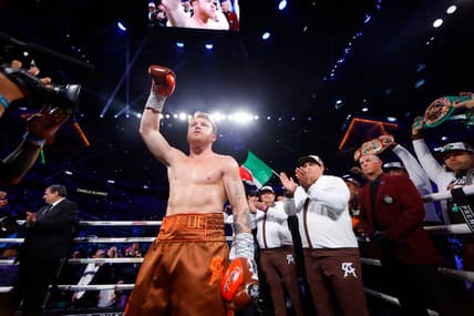 canelo alvarez next fight