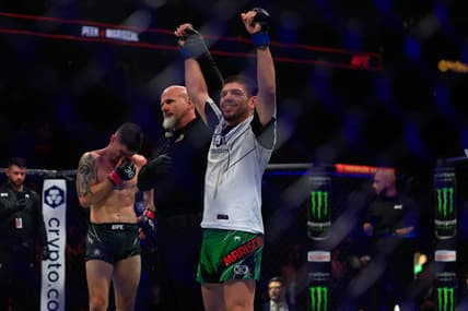 ufc scoring