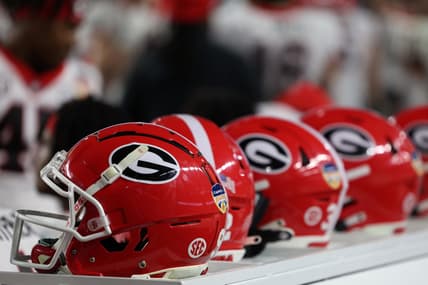 georgia bulldogs