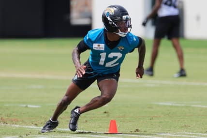 Syndication: Florida Times-Union, Travis Hunter