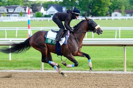 belmont stakes