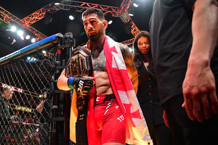 ufc 317 predictions