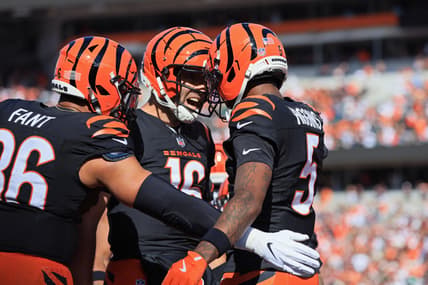 Cincinnati Bengals