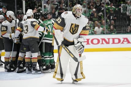 Vegas Golden Knights, Adin Hill, analysis