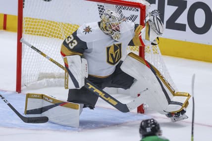 Vegas Golden Knights Goalie, Adin Hill