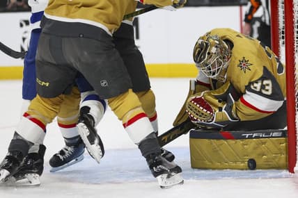 Vegas Golden Knights Game, Adin Hill