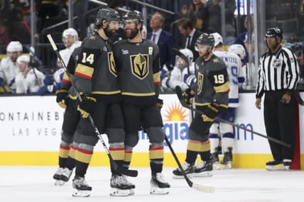 Vegas Golden Knights defensemen Nicolas Hague (14) and Alex Pietrangelo (7) celebrate after Hague's goal during the third period of an NHL hockey game against the Tampa Bay Lightning, Sunday, March 23, 2025, in Las Vegas. (AP Photo/Ian Maule)