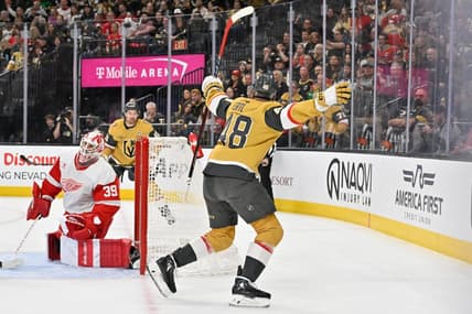 Vegas Golden Knights forward Tomáš Hertl celebrates after scoring against the Detroit Red Wings (Photo/Screenshot- Vegas Golden Knights via Twitter)