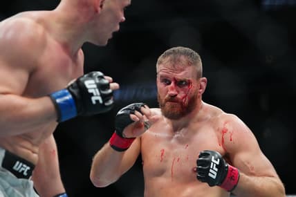 ufc light heavyweight rankings