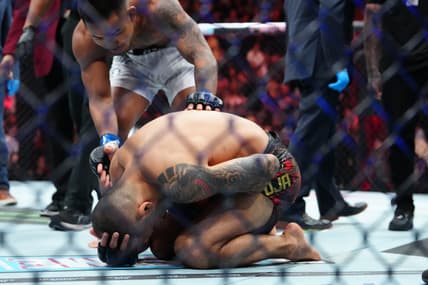 ufc 323