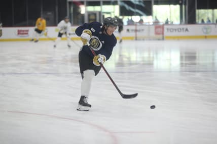 Peyton Krebs Vegas Golden Knights forward