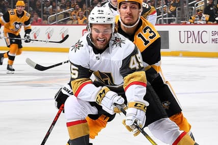 Jake Bischoff, Vegas Golden Knights (Photo- American Hockey League via Twitter)