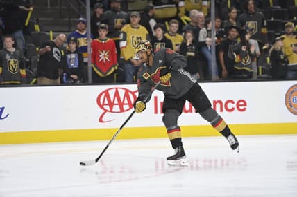 Keegan Kolesar Vegas Golden Knights Organ Donor Jersey (Photo- Vegas Golden Knights via Twitter)