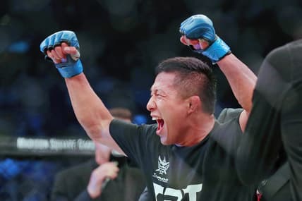 ufc flyweight rankings