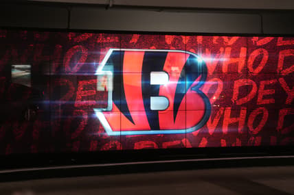 Cincinnati Bengals