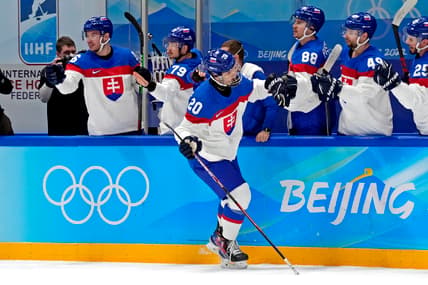 Olympics: Ice Hockey-Men Quarterfinal - USA-SVK, montreal canadiens