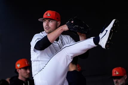 tigers