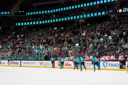 New York Sirens forward Sarah Fillier celebrates a goal in front of raucous Prudential Center crowd