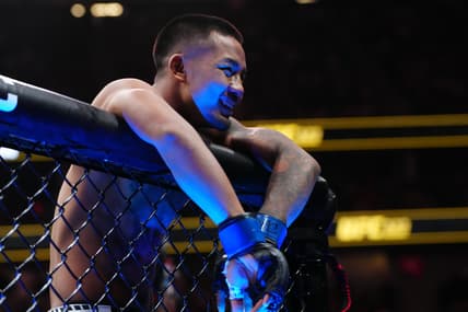 ufc flyweight rankings
