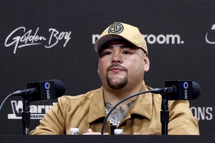 Andy Ruiz jr