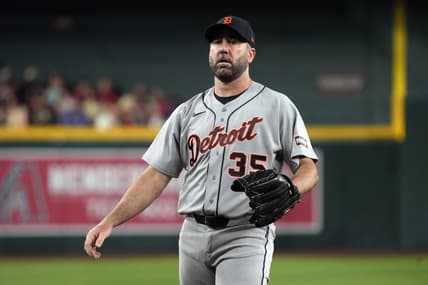 tigers