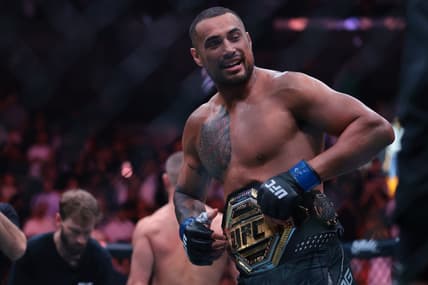 ufc light heavyweight rankings