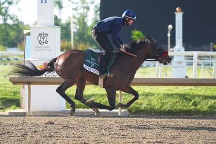 preakness stakes