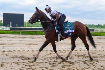preakness stakes