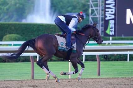 belmont stakes