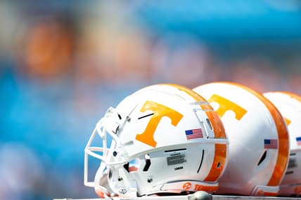 Tennessee Volunteers, David Gabriel Georges