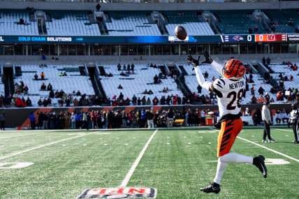 Cincinnati Bengals